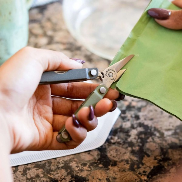 Мультитул Leatherman Micra Spruce 833460